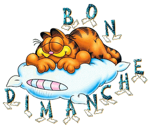 Gif animé Bon dimanche Garfield